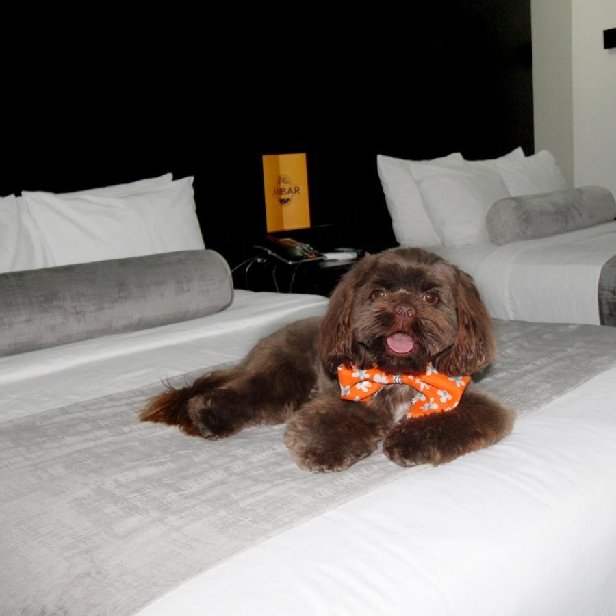 Stay Inn Hotels Reynosa Bagian luar foto